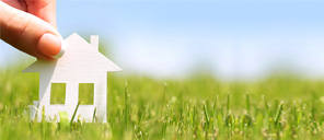 Collateral free Home Improvement Loan for Green Upgrades